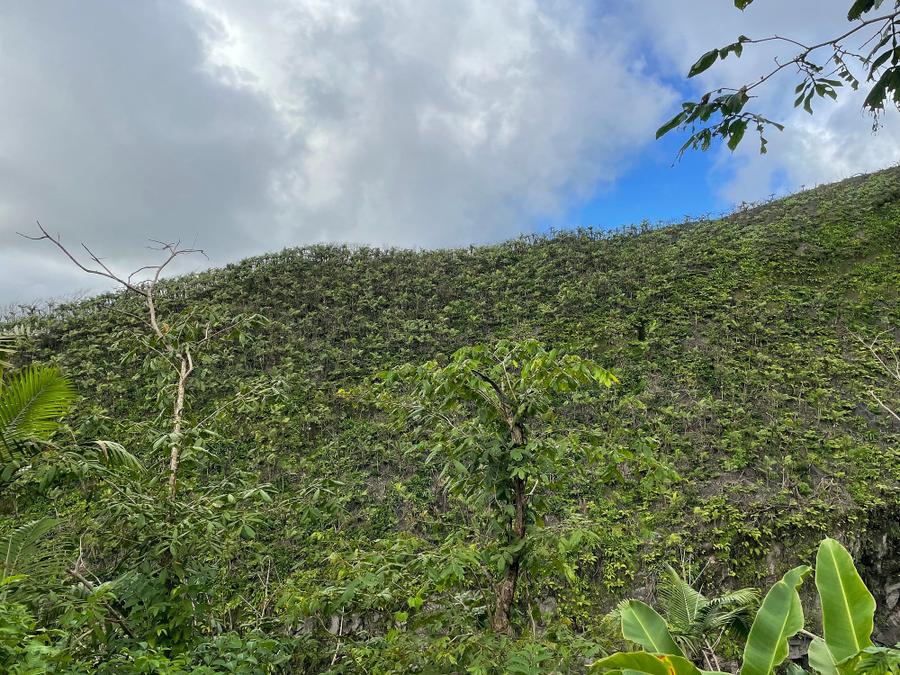 Photo 7 of Saint Vincent and the Grenadines, taken by Cameron Mofid
