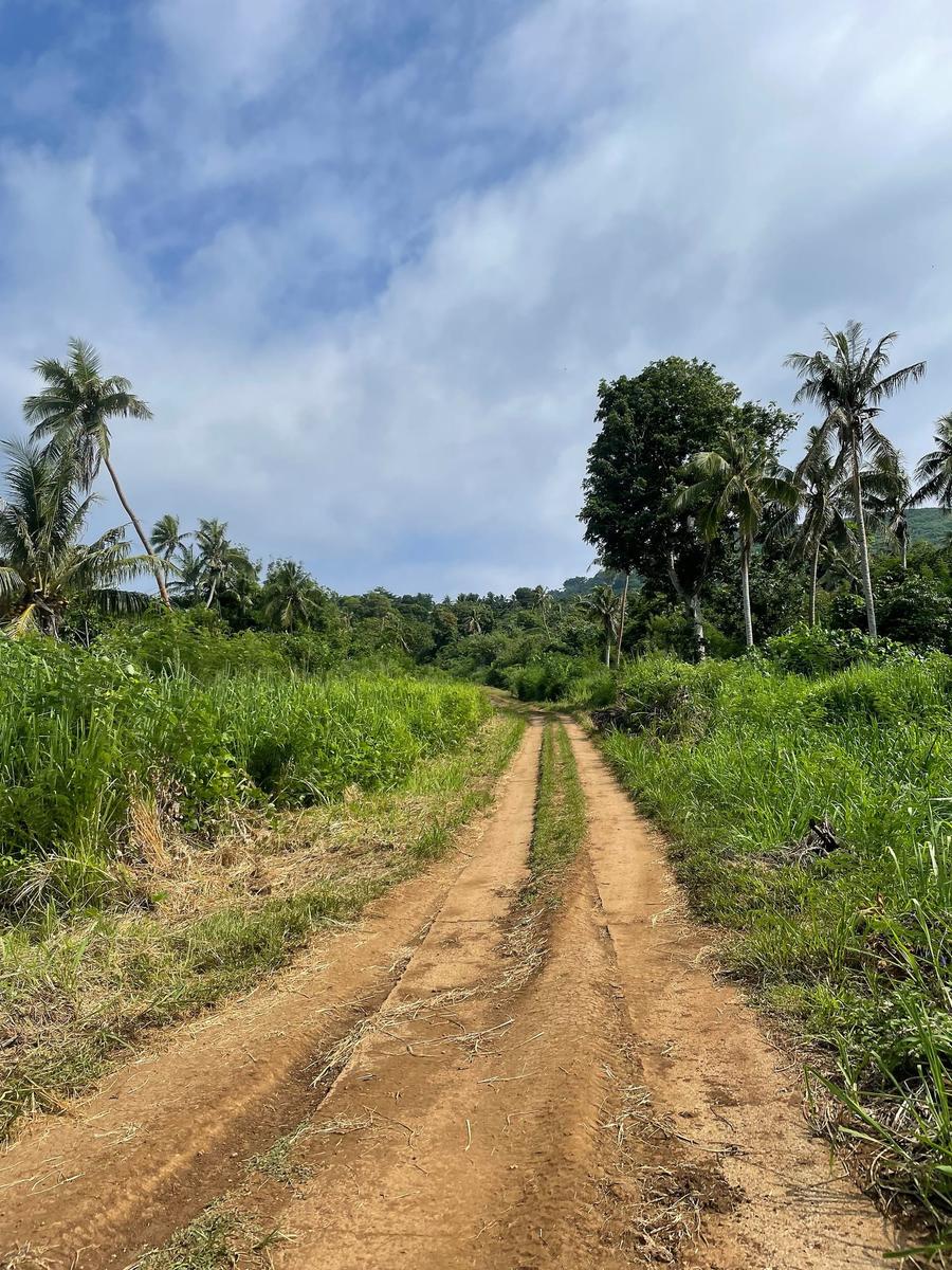 Photo 10 of Vanuatu, taken by Cameron Mofid