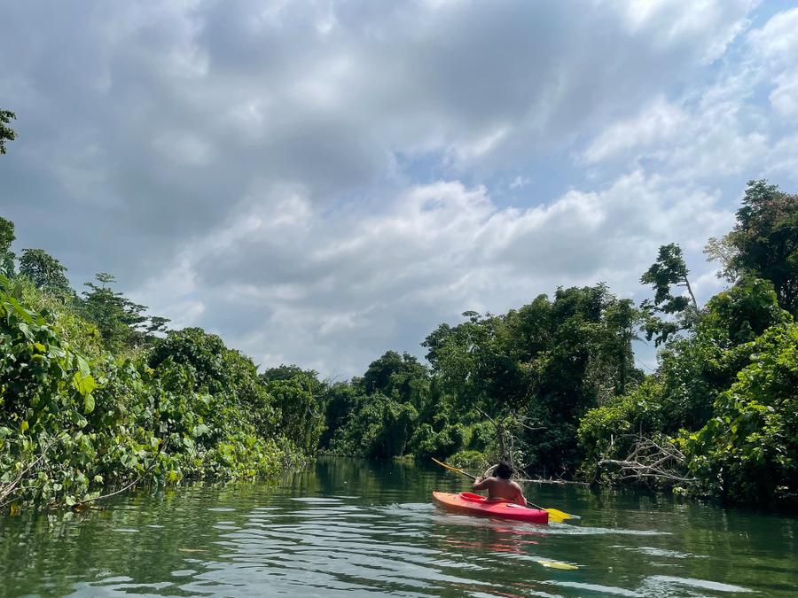 Photo 4 of Vanuatu, taken by Cameron Mofid