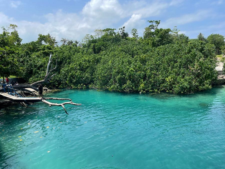 Photo 9 of Vanuatu, taken by Cameron Mofid