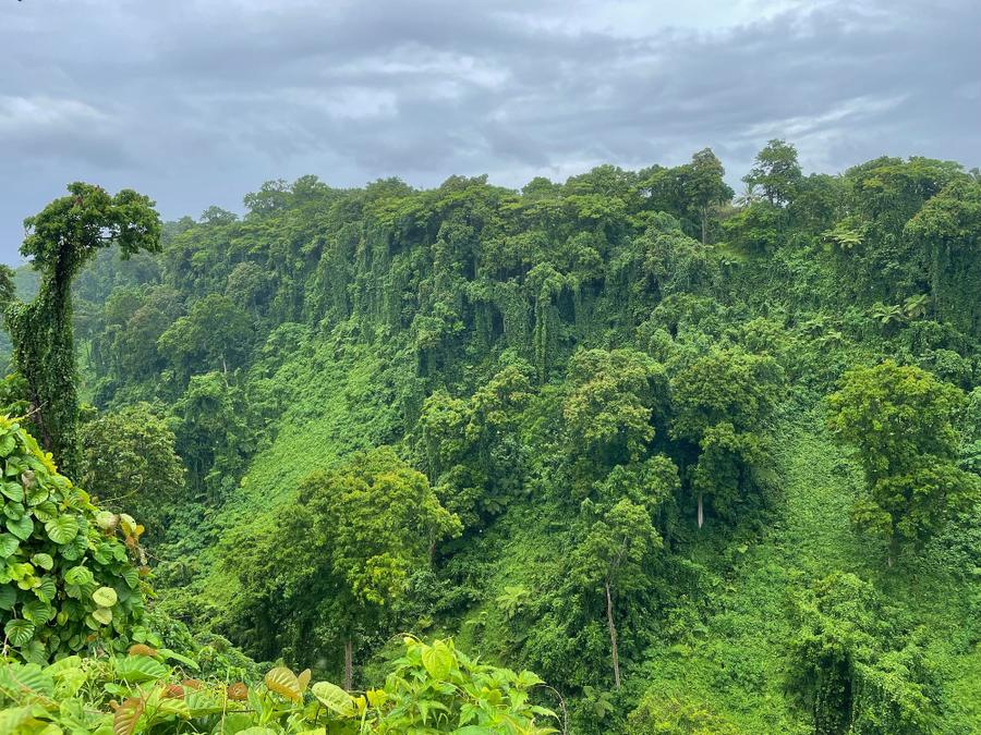Photo 7 of Samoa, taken by Cameron Mofid