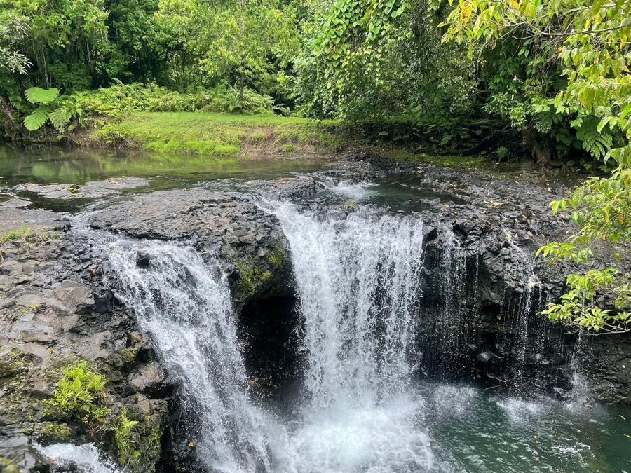 Photo 6 of Samoa, taken by Cameron Mofid