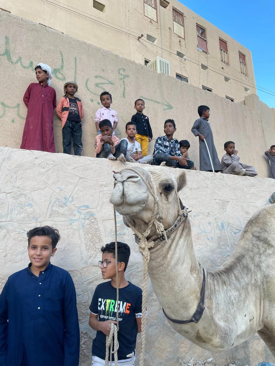 Photo 5 of Yemen, taken by Cameron Mofid