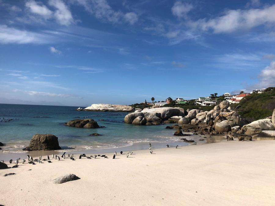 Photo 17 of South Africa, taken by Cameron Mofid